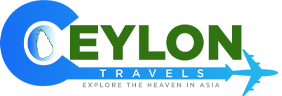 logo-img